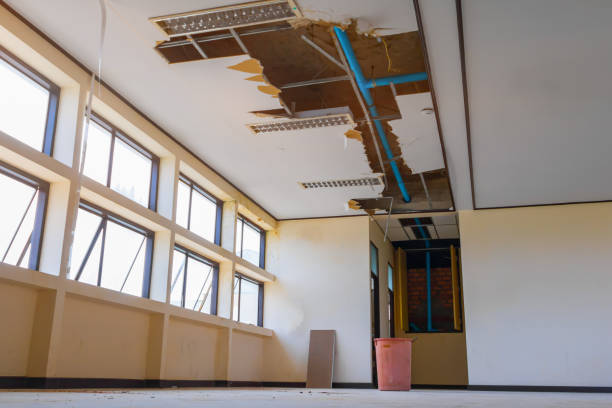 Best Water damage restoration process  in Leesburg, GA