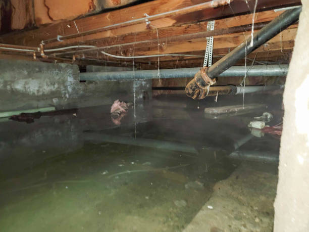 Best Water damage restoration specialists  in Leesburg, GA