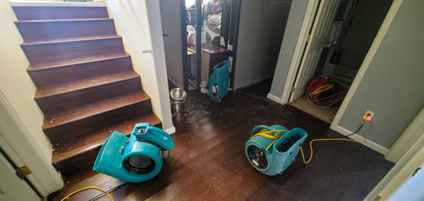Best Professional water damage repair  in Leesburg, GA