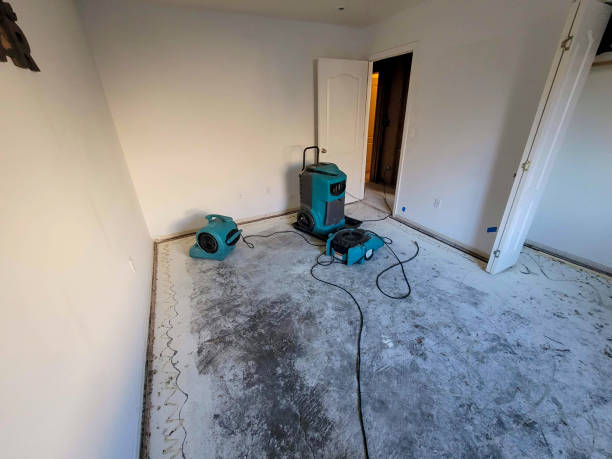 Best Flood damage cleanup  in Leesburg, GA