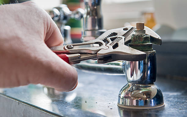 Best Mold removal after water damage  in Leesburg, GA