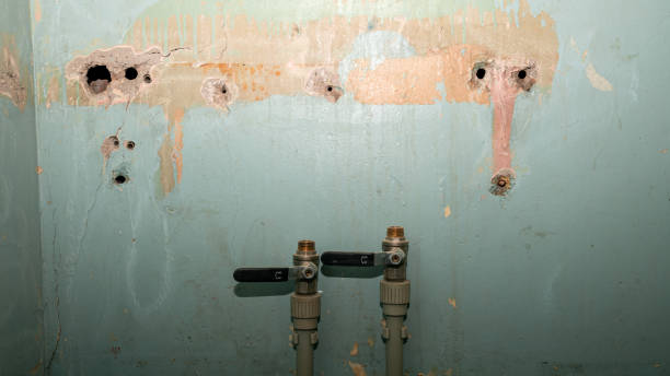 Best Water damage restoration mold remediation  in Leesburg, GA