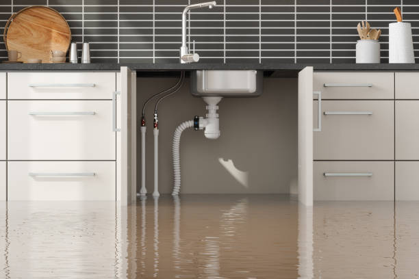 Best Flood restoration services  in Leesburg, GA