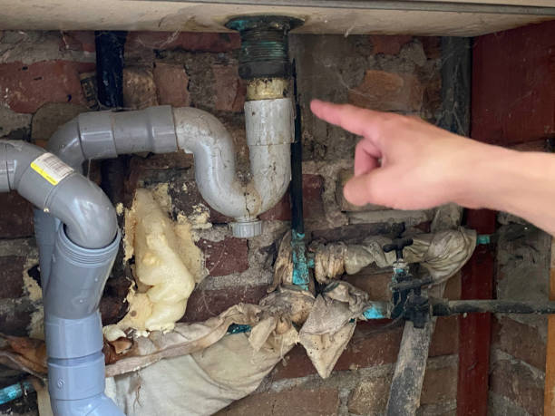 Best Water damage cleanup near me  in Leesburg, GA