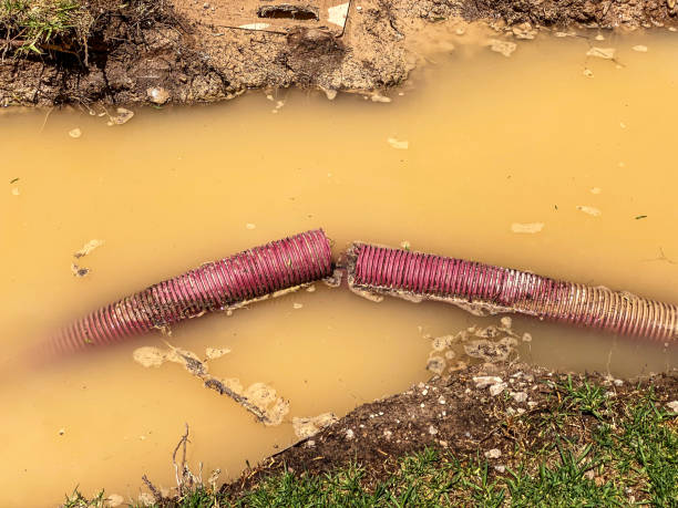 Best 24/7 water damage repair  in Leesburg, GA